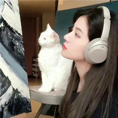 陆小凤与花满楼